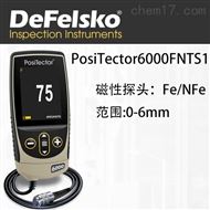 Positector6000FNTS1大量程分體塗層測厚儀