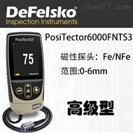 Positector6000FNTS3大量程分體塗層測厚儀